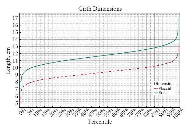 Công bố kích thước chuẩn quốc tế của  “cậu nhỏ” 