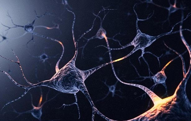 Vì sao người mộng du có thể tránh đâm đầu vào tường?