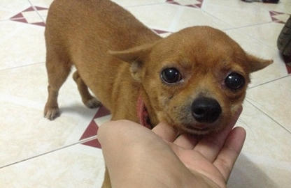 Khổ vì những sở thích “quái đản” của chồng