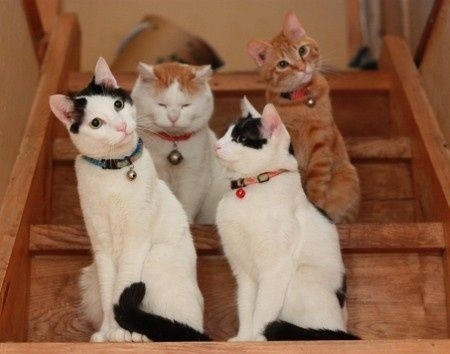 Khổ vì những sở thích “quái đản” của chồng