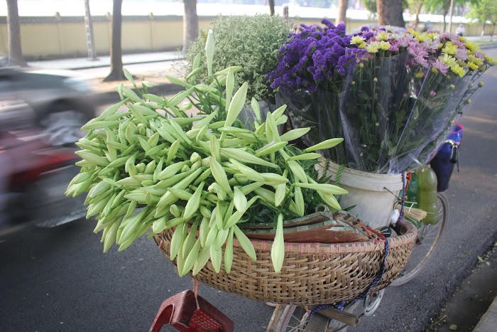 Những chân trời tháng Tư