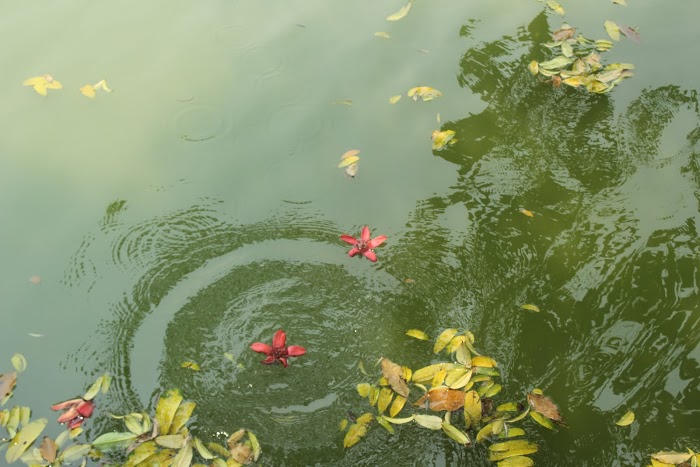 Những chân trời tháng Tư