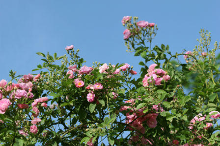 Những chân trời tháng Tư