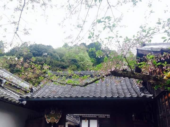 Nhã Phương lên đường sang Nhật đóng phim