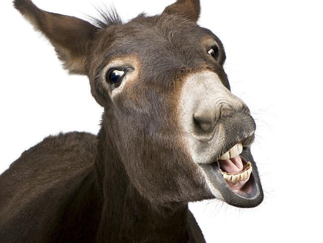 Những điều luật kỳ quặc nhất thế giới 