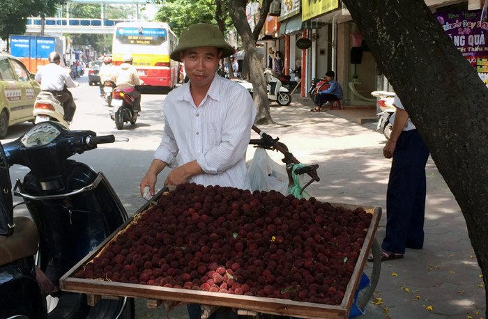 Thanh mai Trung Quốc 8 ngàn bán giá 200 ngàn/kg vẫn tranh nhau