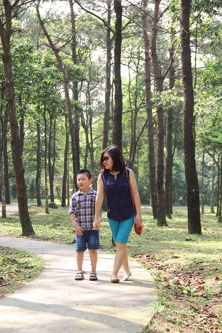 Hồn nhiên rừng mùa hạ