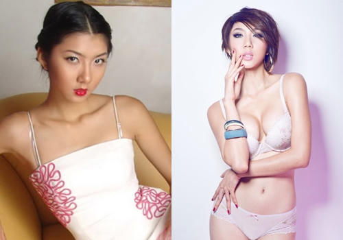 10 mỹ nhân Việt công khai thừa nhận dao kéo