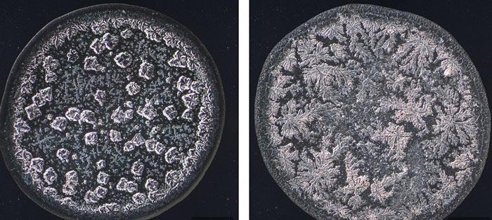 Không phải nước mắt nào cũng "mặn" như nhau