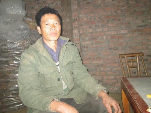 Khám phá tục cắm lá cây trước cổng và sự trừng phạt 