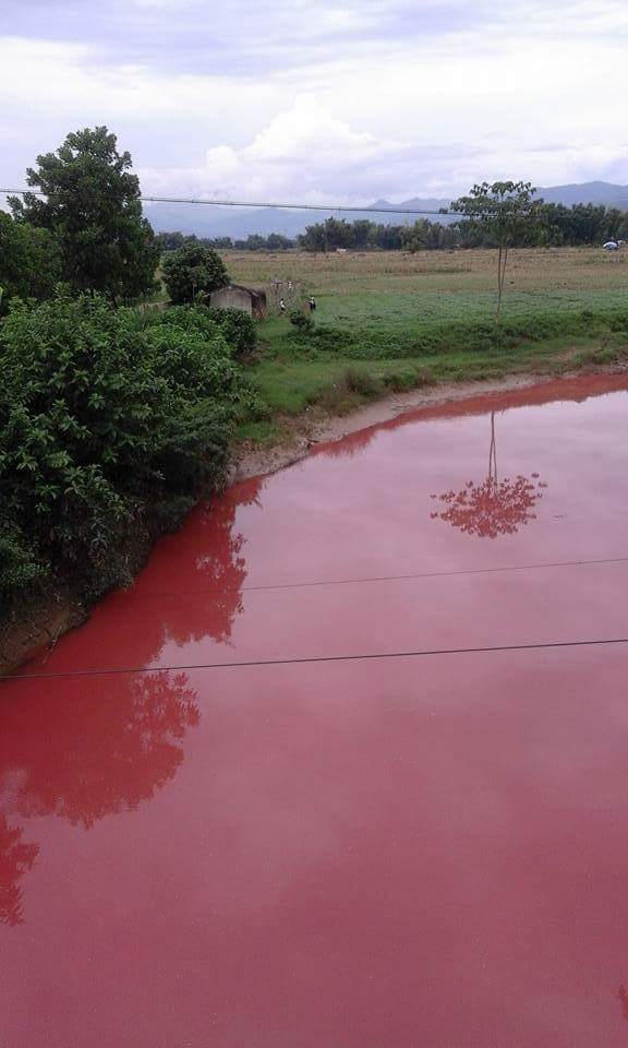 Hoang mang nhìn dòng suối “máu” bất thường ở Điện Biên