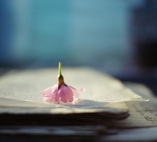 Đằng sau sự tha thứ của người vợ bị chồng ngoại tình