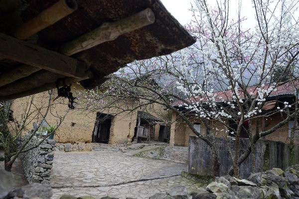 “Mối lương duyên" có hậu qua những bộ phim