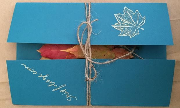 Thu về cả nghìn USD nhờ bán... không khí mùa thu