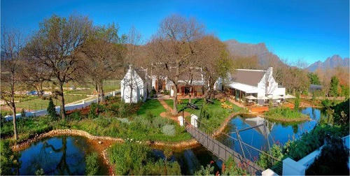 Chiều xuyên qua bóng một cây sồi già