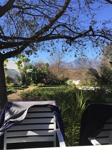 Chiều xuyên qua bóng một cây sồi già