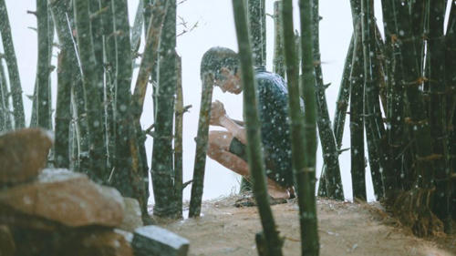 “Tôi thấy hoa vàng trên cỏ xanh” lập kỷ lục doanh thu