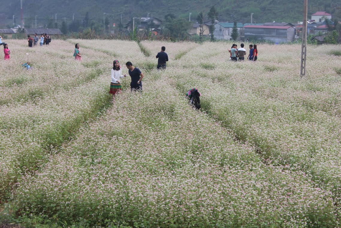 Góc khuất trên miền Tam giác mạch