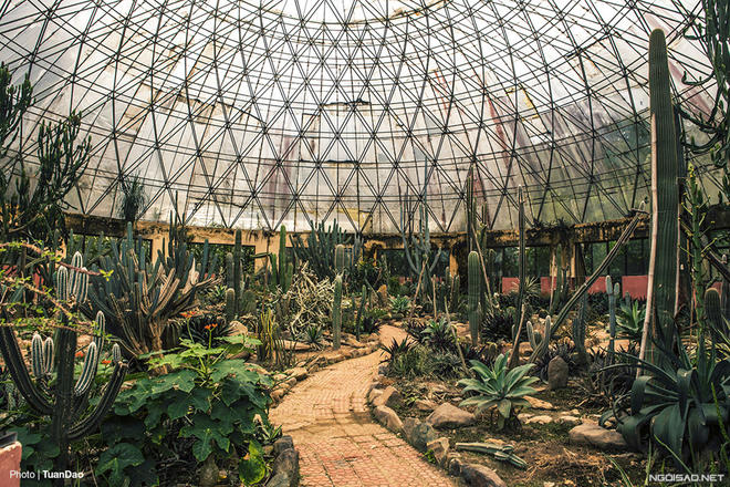 Trên núi Ba Vì có “công viên kỷ Jura”