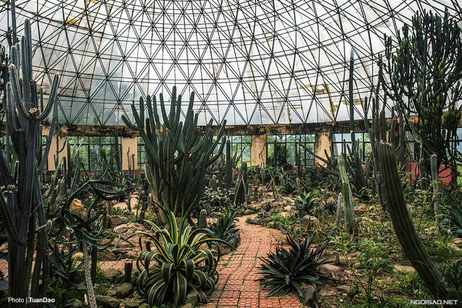 Trên núi Ba Vì có “công viên kỷ Jura”