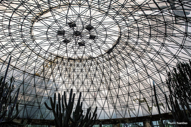 Trên núi Ba Vì có “công viên kỷ Jura”