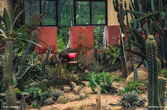 Trên núi Ba Vì có “công viên kỷ Jura”