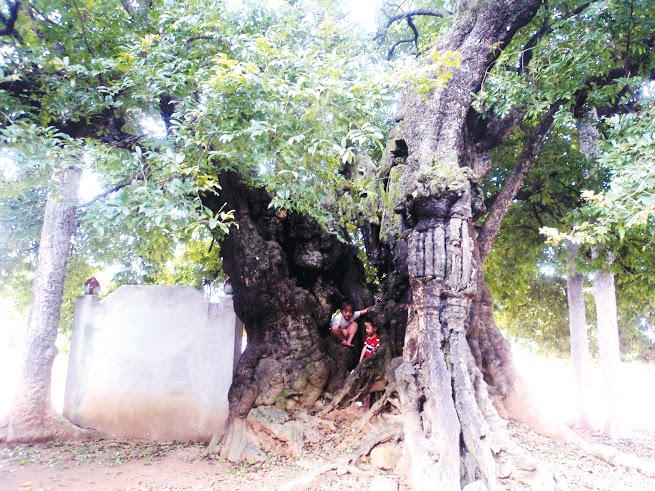 Kỳ bí ngôi đình thờ tam tướng và “báu vật” nghìn tuổi 