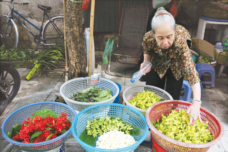 Gói miền ký ức Hà Nội