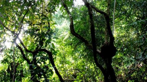 Khám phá hòn đảo 'một đi không trở lại'