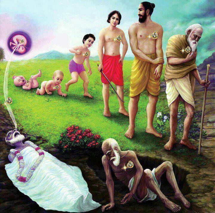 Có luân hồi trong thế giới con người? 