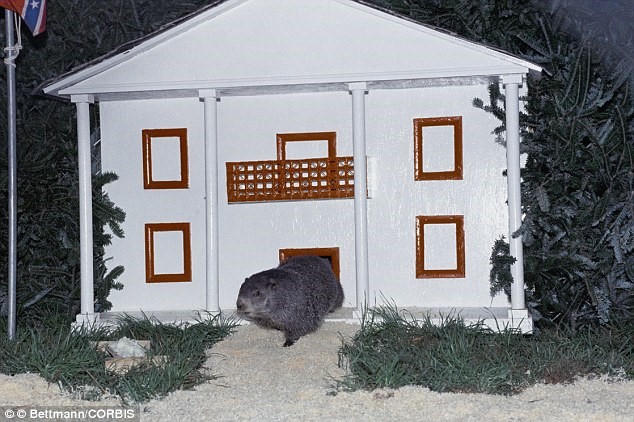 Những lễ hội lạ lùng trên thế giới