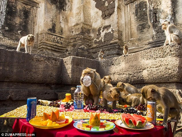 Những lễ hội lạ lùng trên thế giới