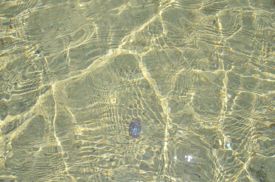 Điệp Sơn - Hành trình để đi bộ trên biển