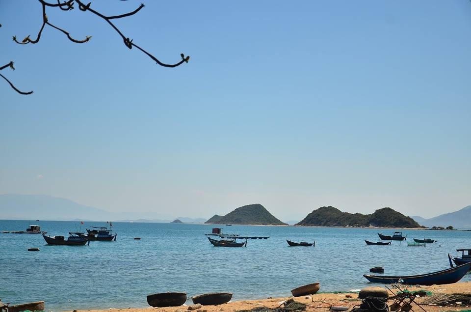 Điệp Sơn - Hành trình để đi bộ trên biển