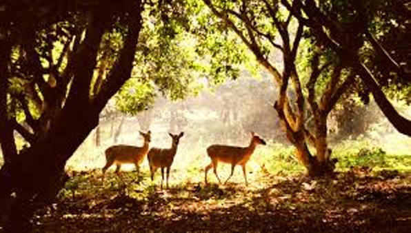 4 điểm du lịch vắng vẻ dịp 30/4 