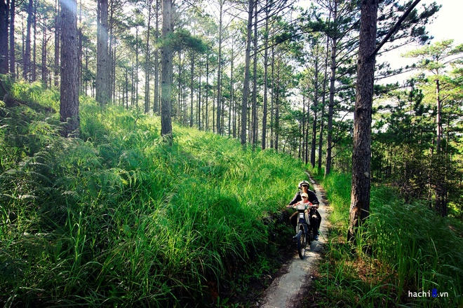 5 điểm thơ mộng ở Đà Lạt không lo đông đúc