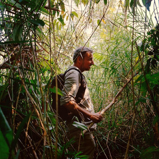 Lộ sáng thành phố ngầm bí ẩn trong rừng già Campuchia