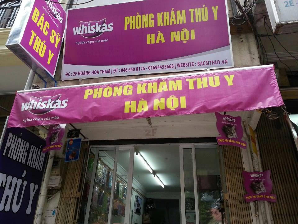 'Sang chảnh' như giới trẻ chăm mèo cưng