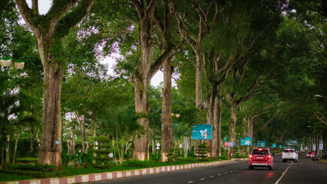 Việt kiều Mỹ bay hơn 13.000km để chụp ảnh trên con đường đẹp nhất Buôn Ma Thuột