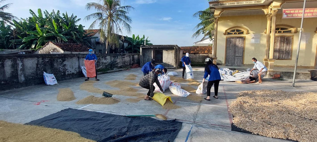 Bộ đội, thanh niên đội nắng xuống đồng giúp dân gặt lúa