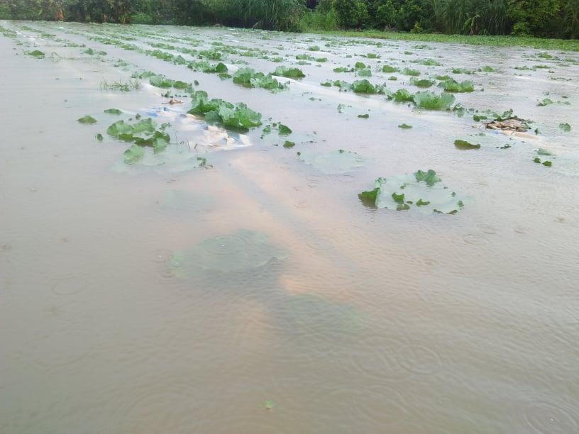 Mưa xối xả gây ngập, chia cắt nhiều địa phương, hồ Vực Mấu thông báo xả tràn