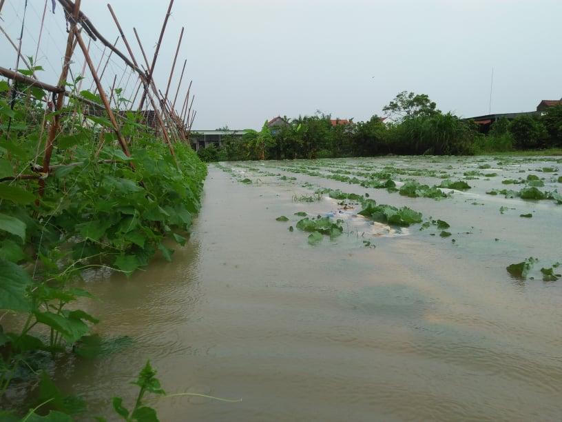 Mưa xối xả gây ngập, chia cắt nhiều địa phương, hồ Vực Mấu thông báo xả tràn