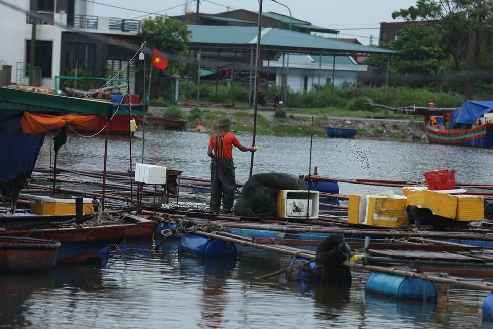 Sóng cao 5m đánh vào bờ biển Nghệ An