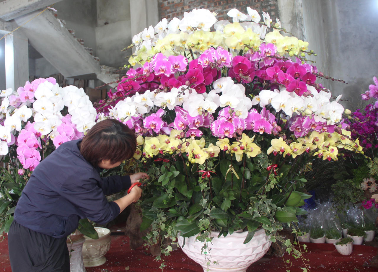 Nghề thời vụ cho thu nhập khủng dịp cận Tết