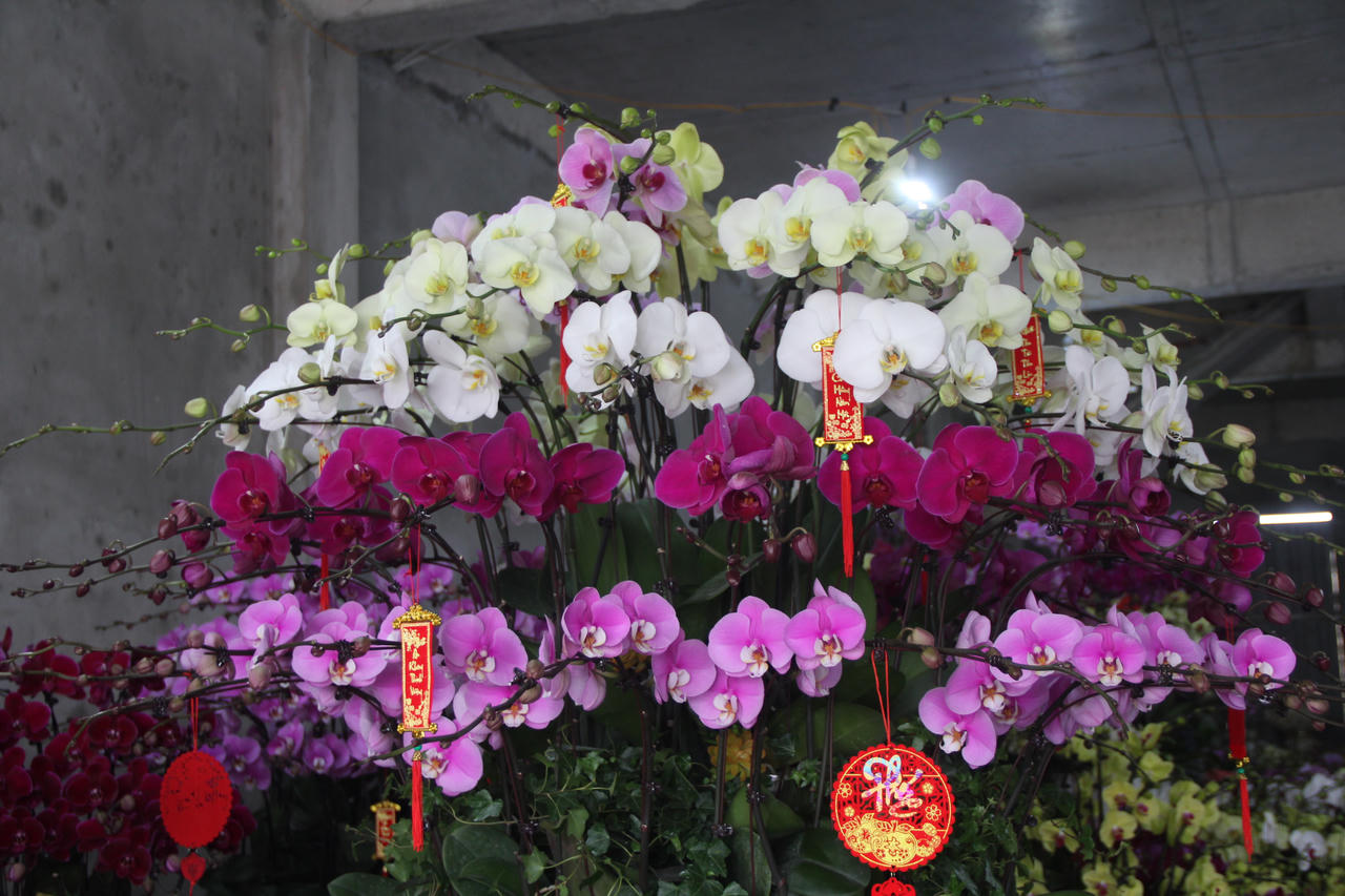 Nghề thời vụ cho thu nhập khủng dịp cận Tết