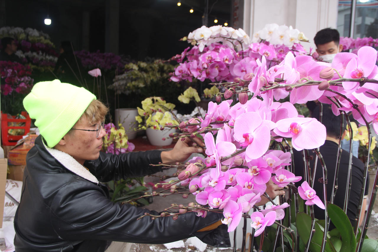 Nghề thời vụ cho thu nhập khủng dịp cận Tết