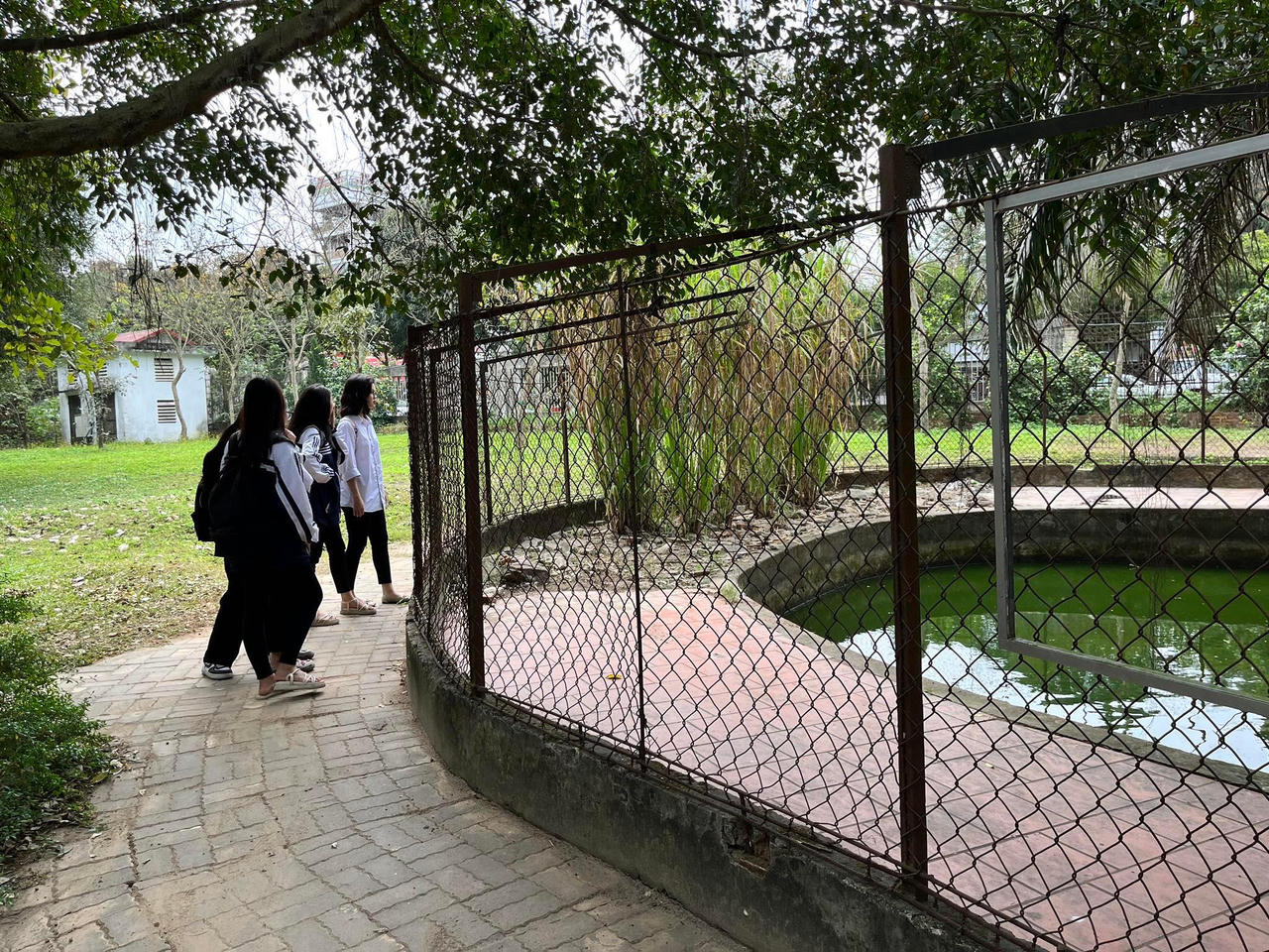 Công viên lớn nhất Nghệ An xin thả đàn cá sấu