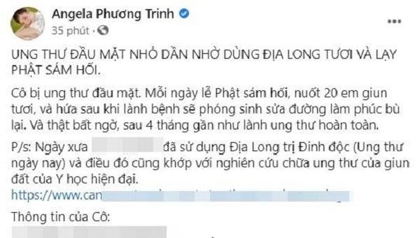 Angela Phương Trinh có thể bị cấm hoạt động vì liên tiếp phát ngôn sai sự thật