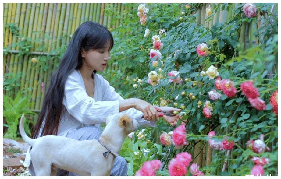 "Tiên nữ đồng quê" Lý Tử Thất đâm đơn kiện công ty quản lý