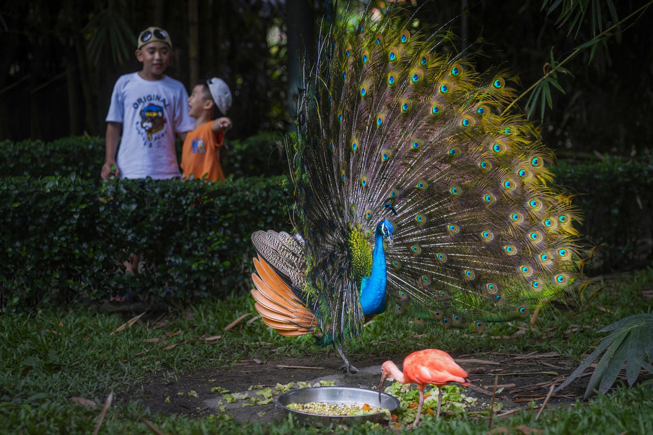 Thảo cầm viên Sài Gòn bàn chuyện phát triển không gian sinh thái trong lòng đô thị